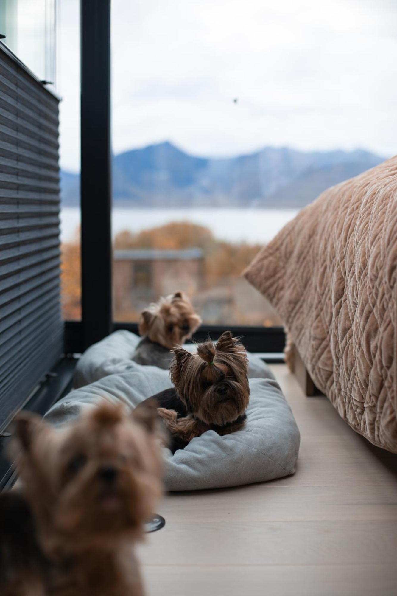 Wonderinn Arctic Utstrand Екстер'єр фото